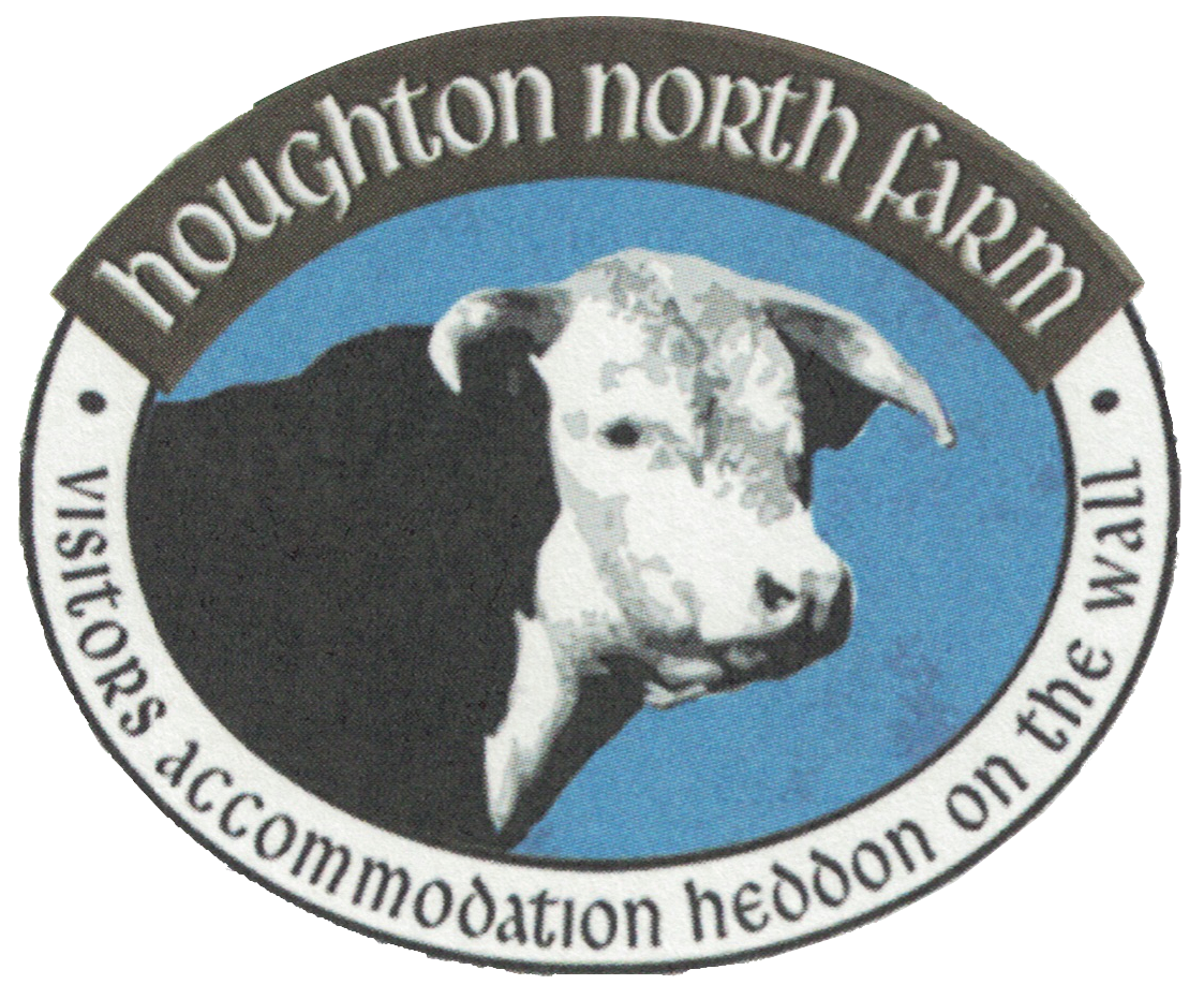 HNF-LogoHeader without Cropped HNF-LogoHeader without Cropped